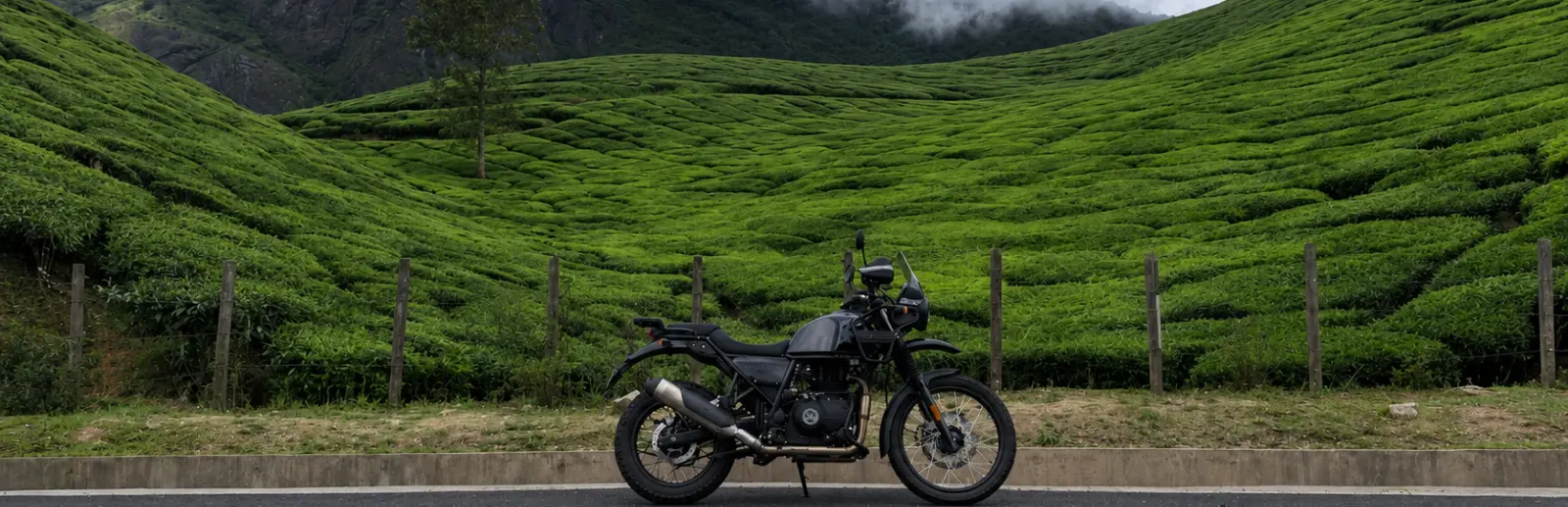 South Trek