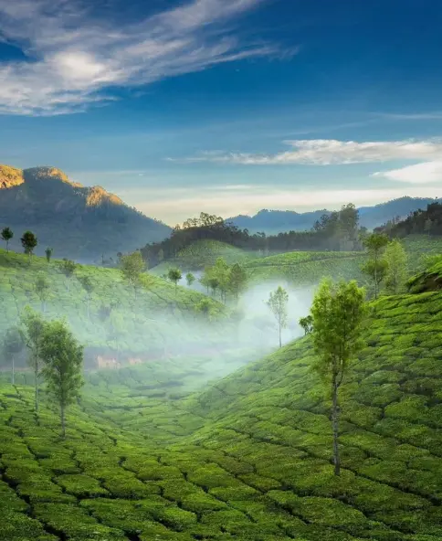 South Trek