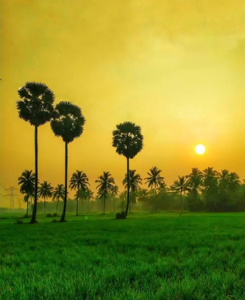 South Trek