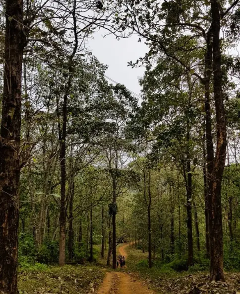 South Trek