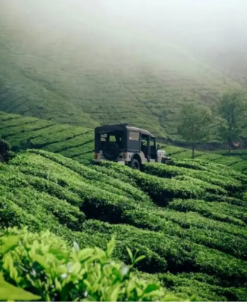 South Trek