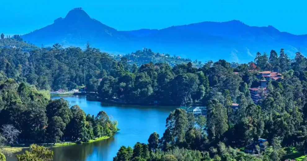 south trek