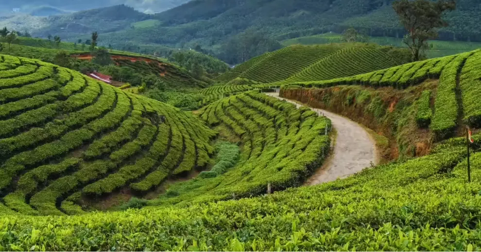 south trek