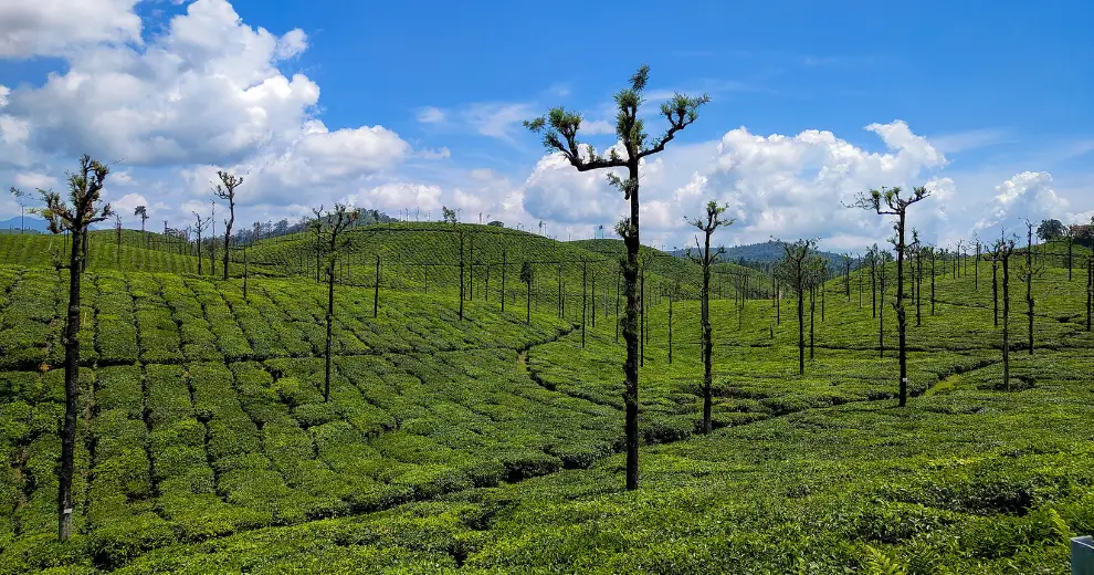 south trek
