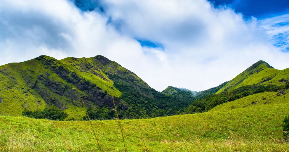 south trek