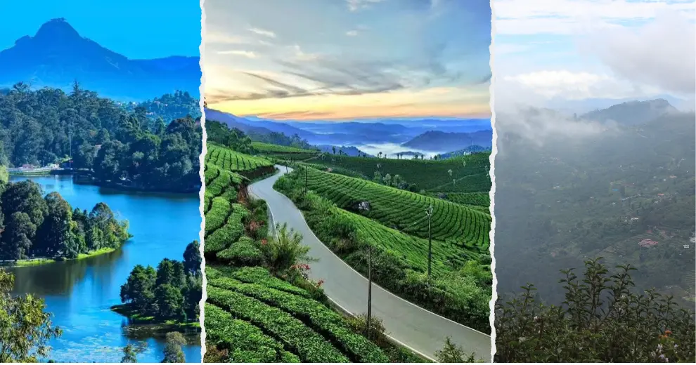 south trek
