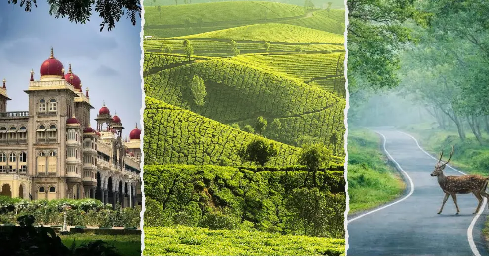 south trek