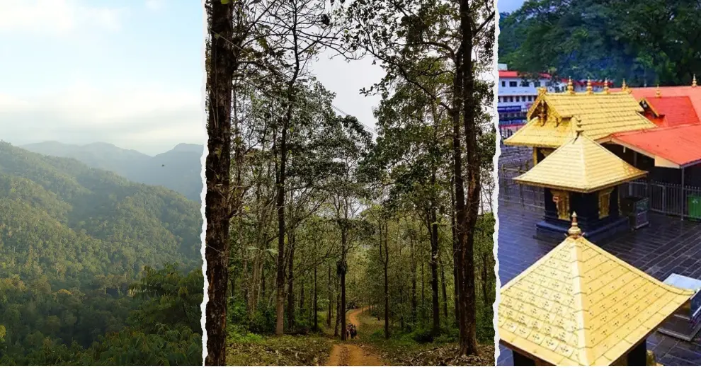 south trek